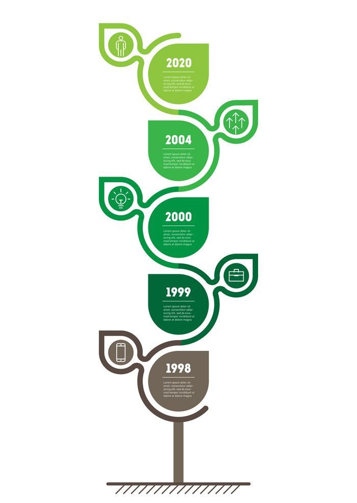 indian wedding photography